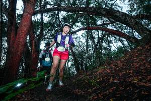 BIB: 
                            <button type="button" onclick="openModal(26343099)" class="btn btn-primary btn-sm float-right btn-popup" data-toggle="modal" data-target=".modal-high-quality">
                        <i class="fas fa-shopping-cart"></i> Add to Cart
                    </button>
                                            <button type="button" onclick="isThisMe(26343099, true)" class="btn btn-success btn-sm float-right btn-popup btn-isme hidden" data-toggle="tooltip" data-placement="bottom" title="นี่คือรูปของคุณใช่ไหม คลิกที่นี่เพื่อเอาเข้าอัลบั้ม">
                        <i class="fas fa-plus"></i> Add to album
                    </button>
                    <button type="button" onclick="isThisMe(26343099, false)" class="btn btn-warning btn-sm float-right btn-popup btn-isnotme hidden">
                        <i class="fas fa-ban"></i> Remove from album
                    </button>